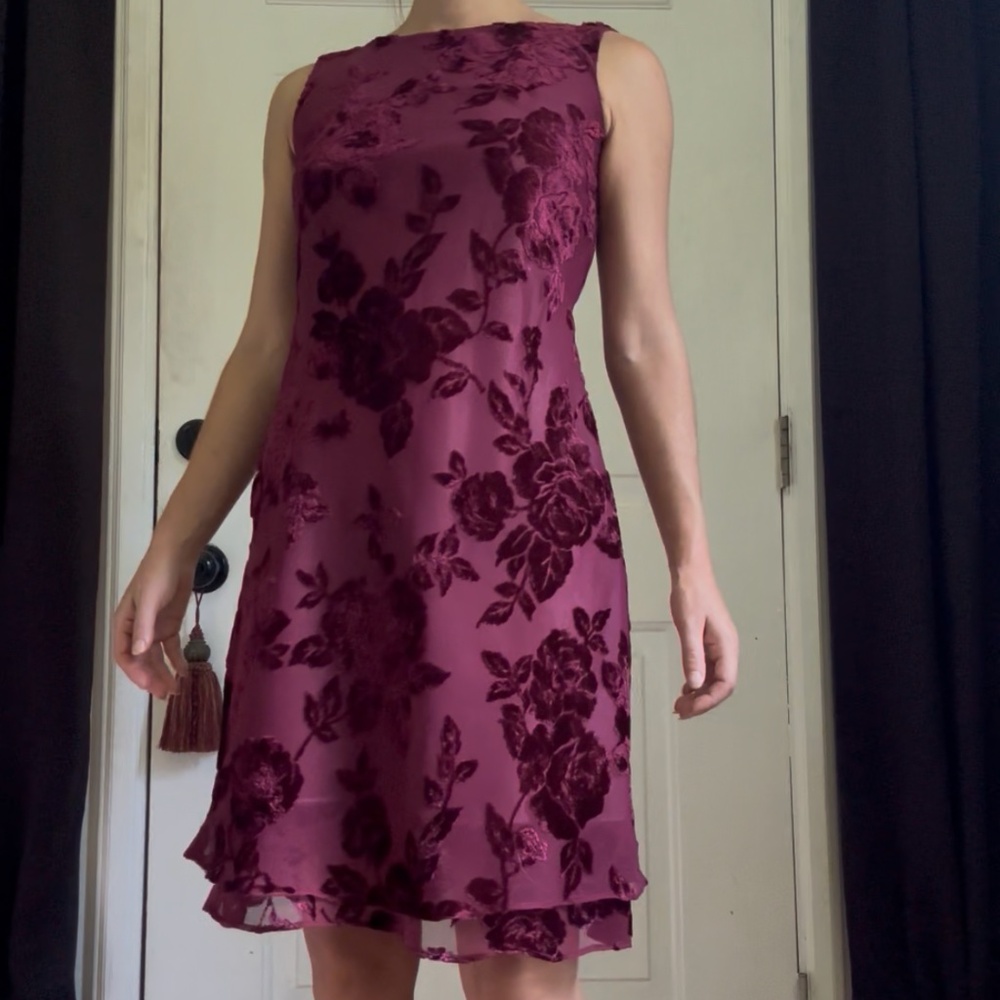 Vintage 90s Whimsigoth Burnout Velvet Dress